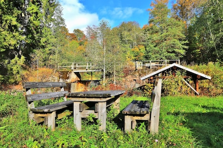 Hiking. The Green House Guesthouse Sunnemo