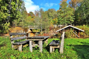 A rustic outdoor seating area with wooden benches and picnic tables surrounded by lush greenery and trees.