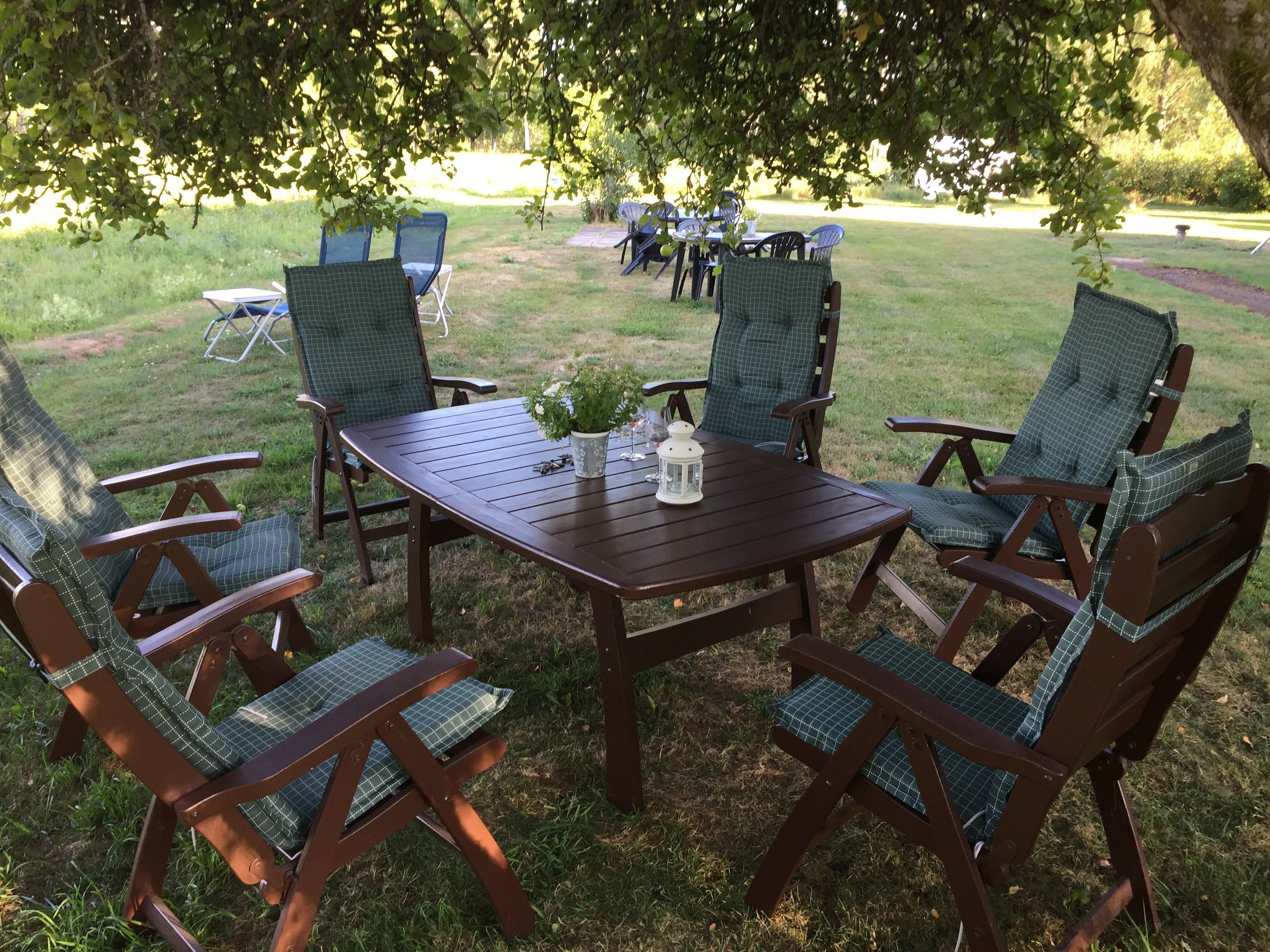 A wooden table with four chairs, each with a green checkered cushion, set outdoors under a tree.