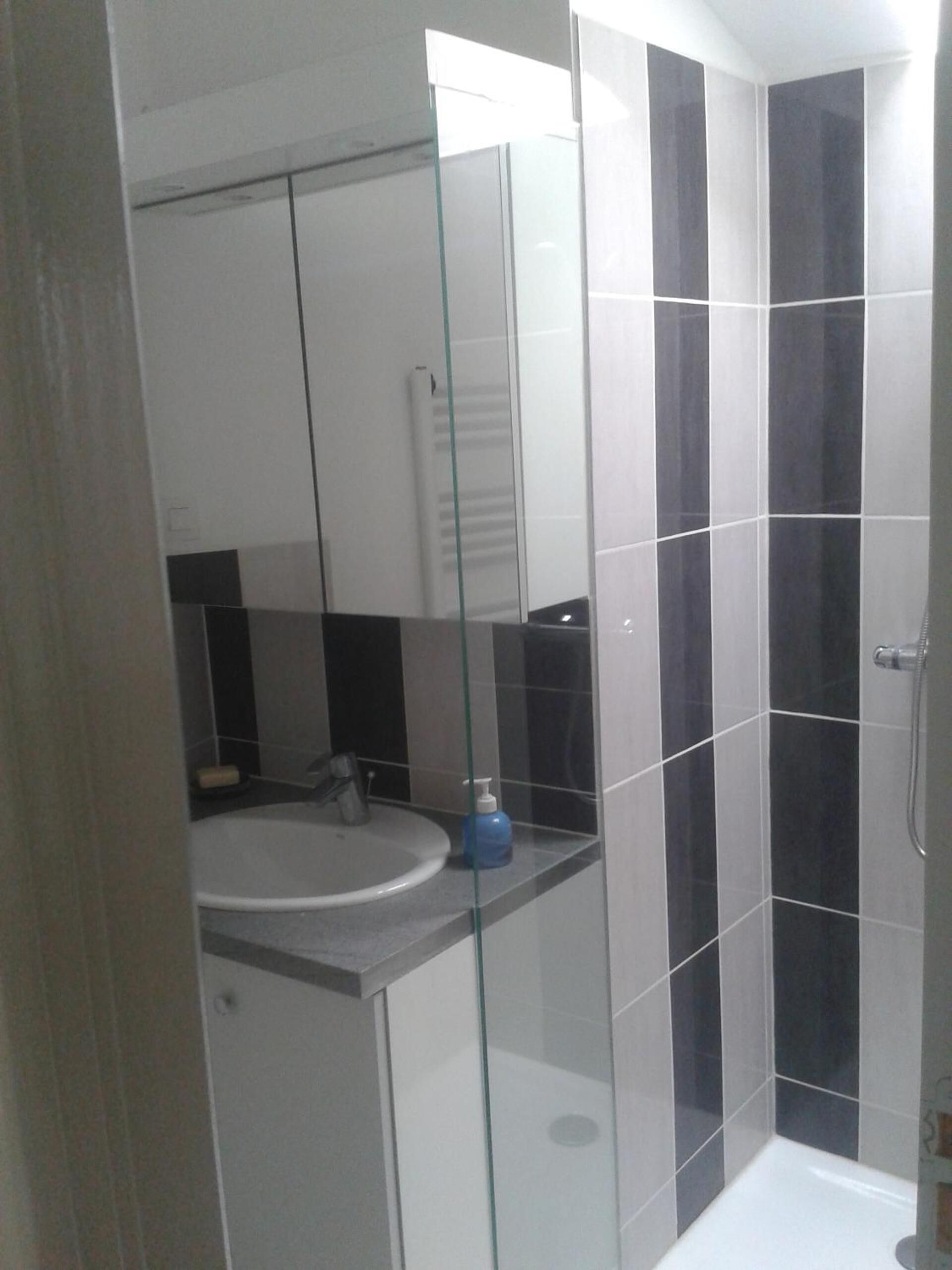 A bathroom with a glass shower enclosure, a sink, and a mirror.