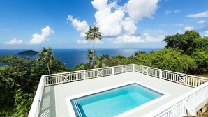 Piscina retangular com deck e gradeia brancos, rodeada por vegetação exuberante e palmeiras, com vista para um oceano azul límpido e uma ilha distante.