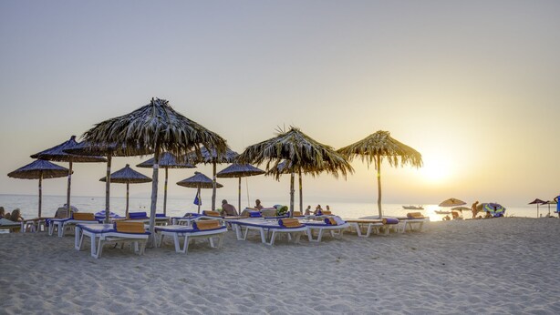 A beach with rows of sun loungers and thatched umbrellas. - Toroni Blue (Sithonia)