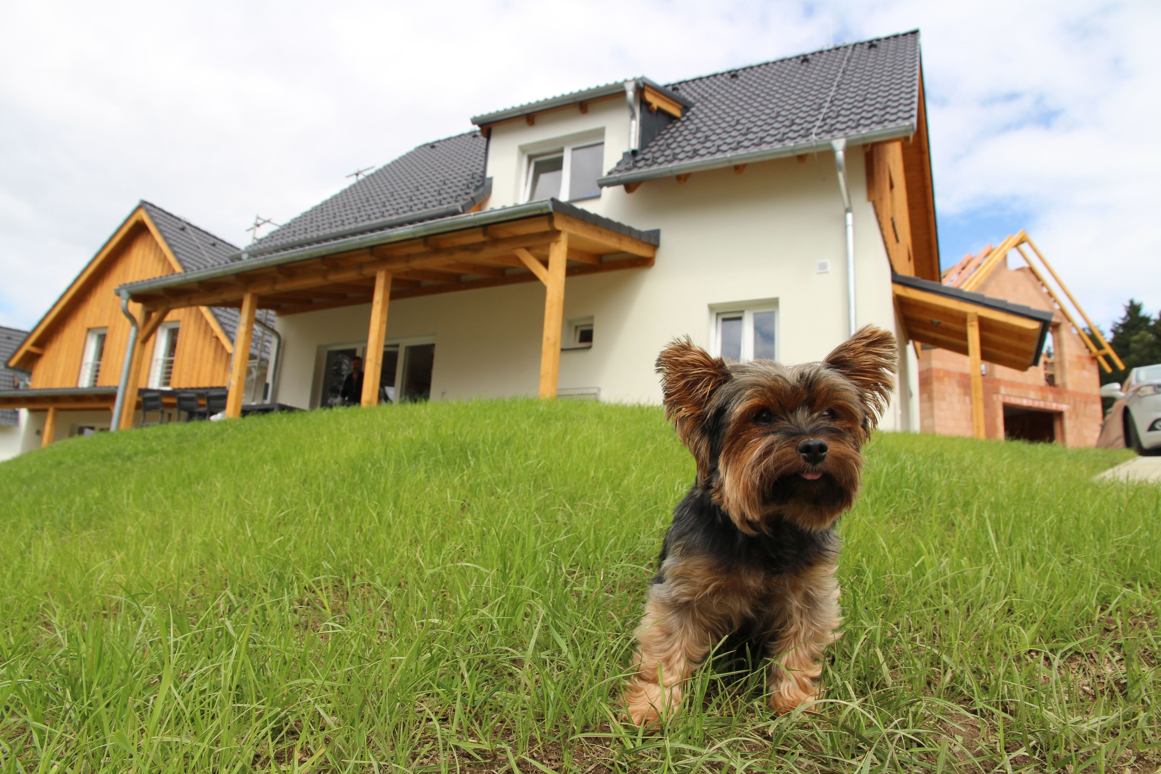 Ein Hund sitzt auf dem Gras vor einem Haus mit einer Holzveranda und einem grauen Dach.