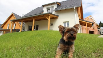 Ein Hund sitzt auf dem Gras vor einem Haus mit einer Holzveranda und einem grauen Dach.
