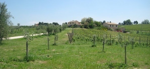 Exterior - I Tre Filari (Recanati)