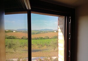 Une vue à travers une fenêtre à cadre métallique, donnant sur un vignoble avec des rangées de vignes et des collines lointaines.