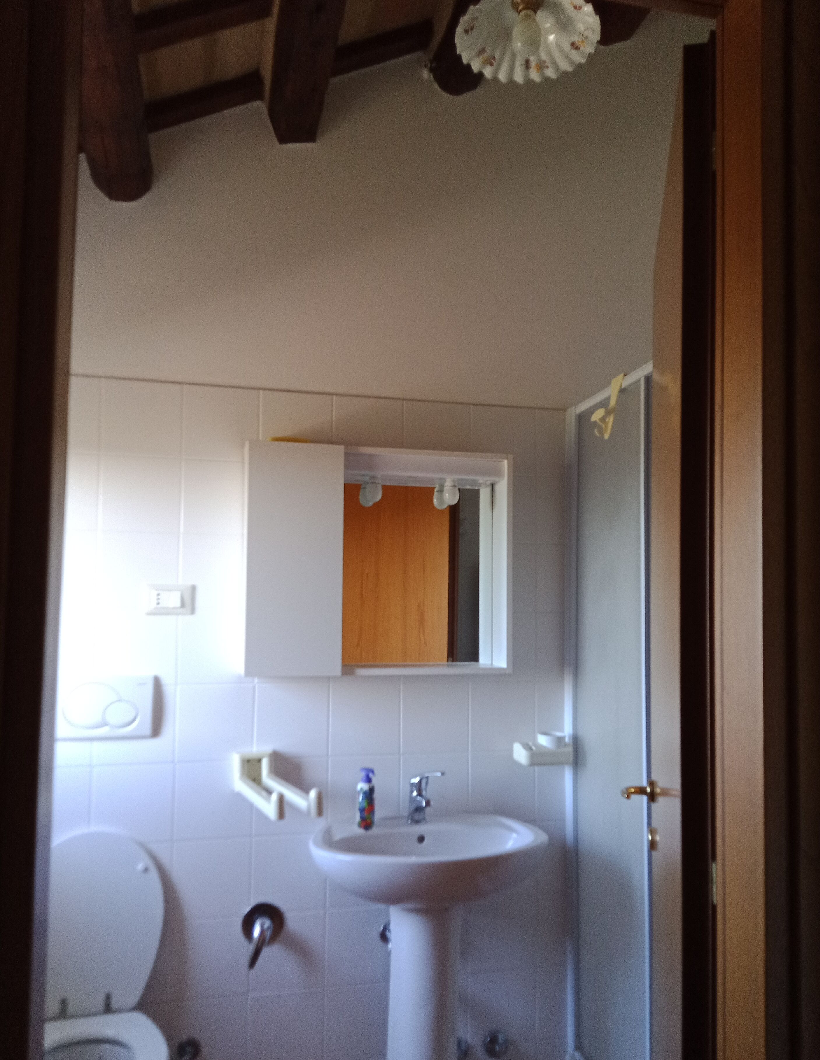 A bathroom with a white sink, a mirror above it, and a toilet.