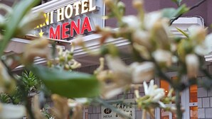 Property entrance - Hotel Mena (Budva)