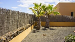 A courtyard with two palm trees, a stone wall, and a yellow building. - GBH Volcanic Beach (La Oliva)