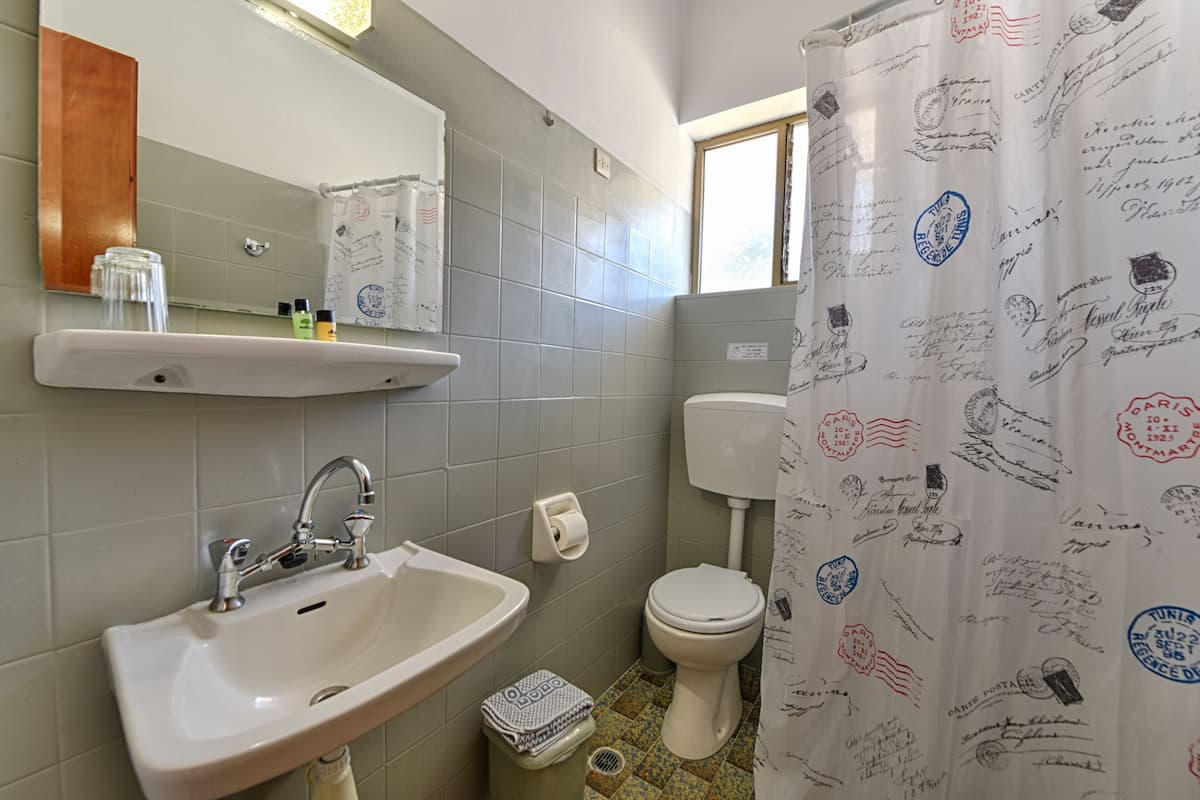 double or twin room | bathroom | shower, hydromassage showerhead, free toiletries, hair dryer