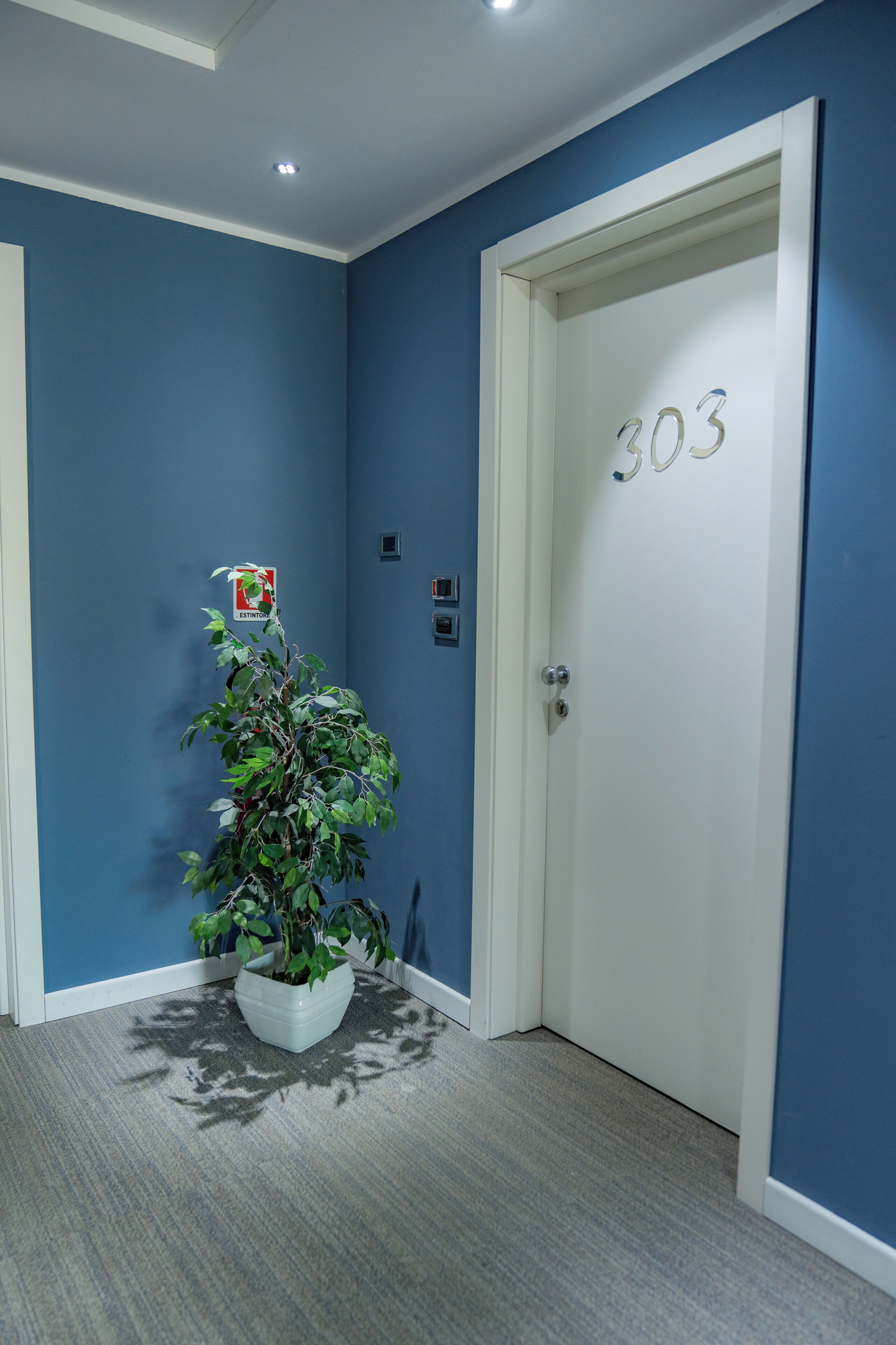 A hallway with a blue wall, a white door labeled "303", and a potted plant.