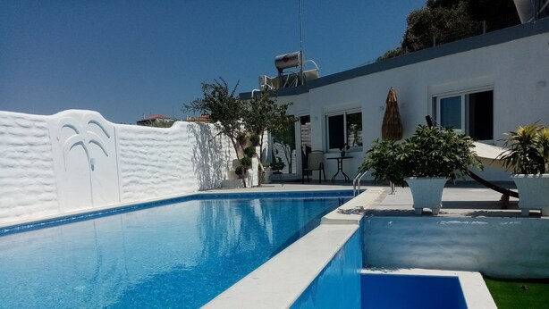 Une piscine aux couleurs blanche et bleue, entourée d’un mur blanc et d’un petit jardin agrémenté de plantes en pot.