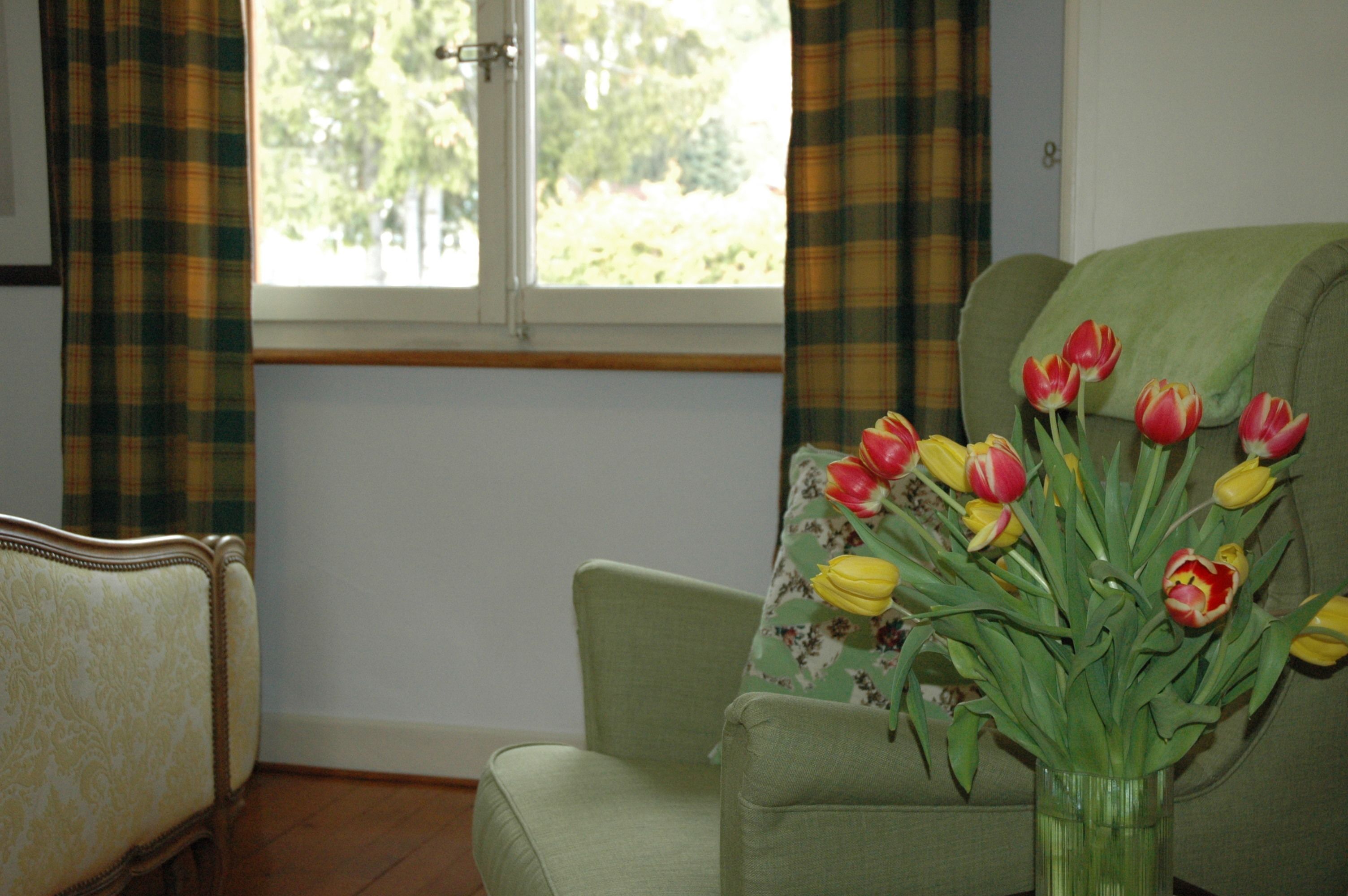 Una habitación con un sillón verde, un cojín estampado con flores y un jarrón con tulipanes.