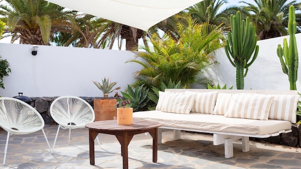 An outdoor patio with a stone floor, white outdoor furniture, and various plants including cacti and palm trees.