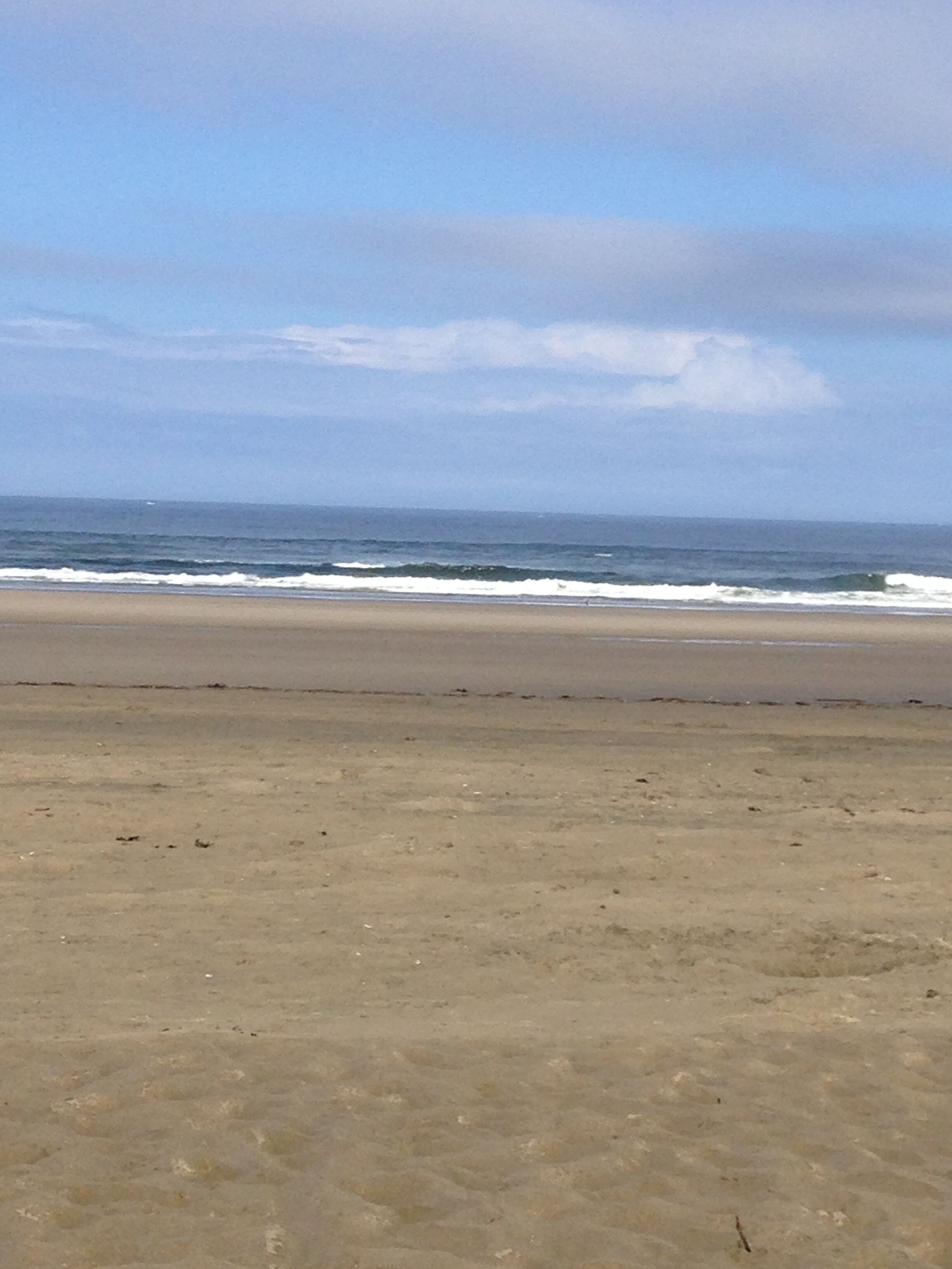 Playa en los alrededores y camastros 