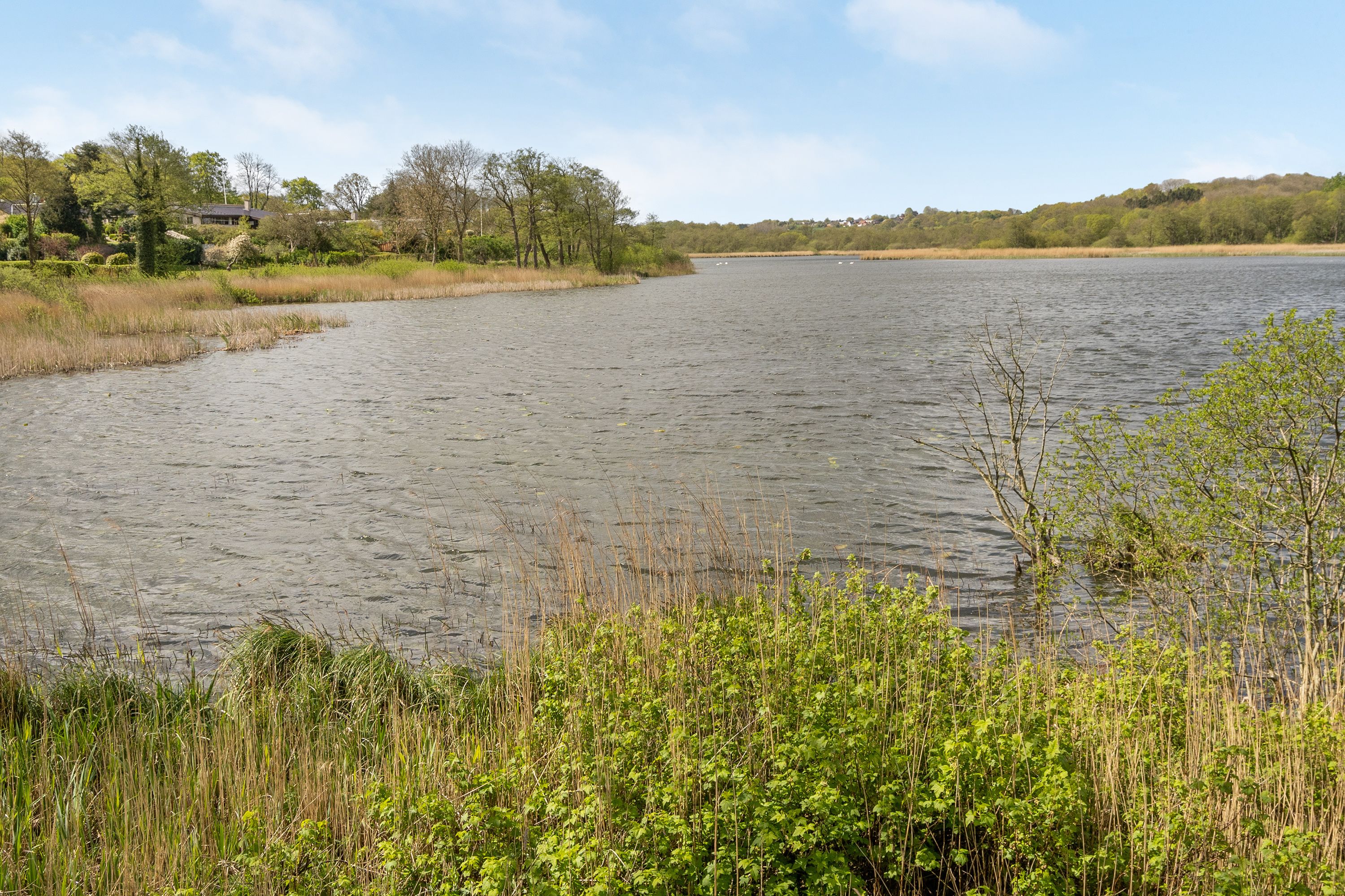 Un lago tranquilo rodeado de vegetación y una casa a lo lejos.
