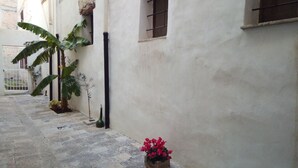 A narrow alley with a white wall, a potted plant with red flowers, and a large banana tree. - B&B Garibaldi (Alcamo)