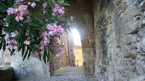 A cobblestone street leading to a stone building with a doorway.