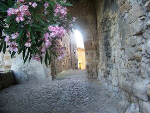 A cobblestone street leading to a stone building with a doorway. - Chalet with shaded terrace in a quiet location. (Tauriers)