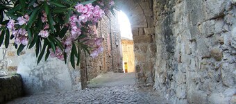 Bengalow ikke oversett