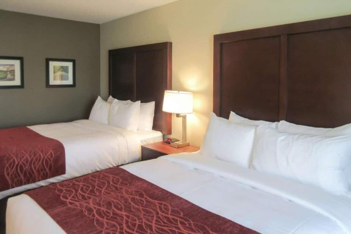 A hotel room with two beds, a nightstand with a lamp, and framed pictures on the wall.