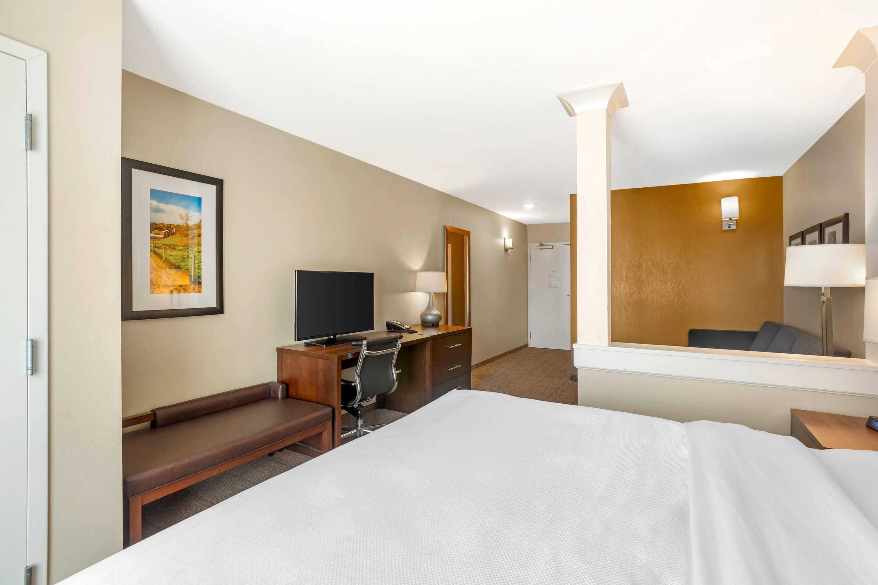 Una habitación de hotel con cama, escritorio, silla, televisor y un cuadro en la pared.