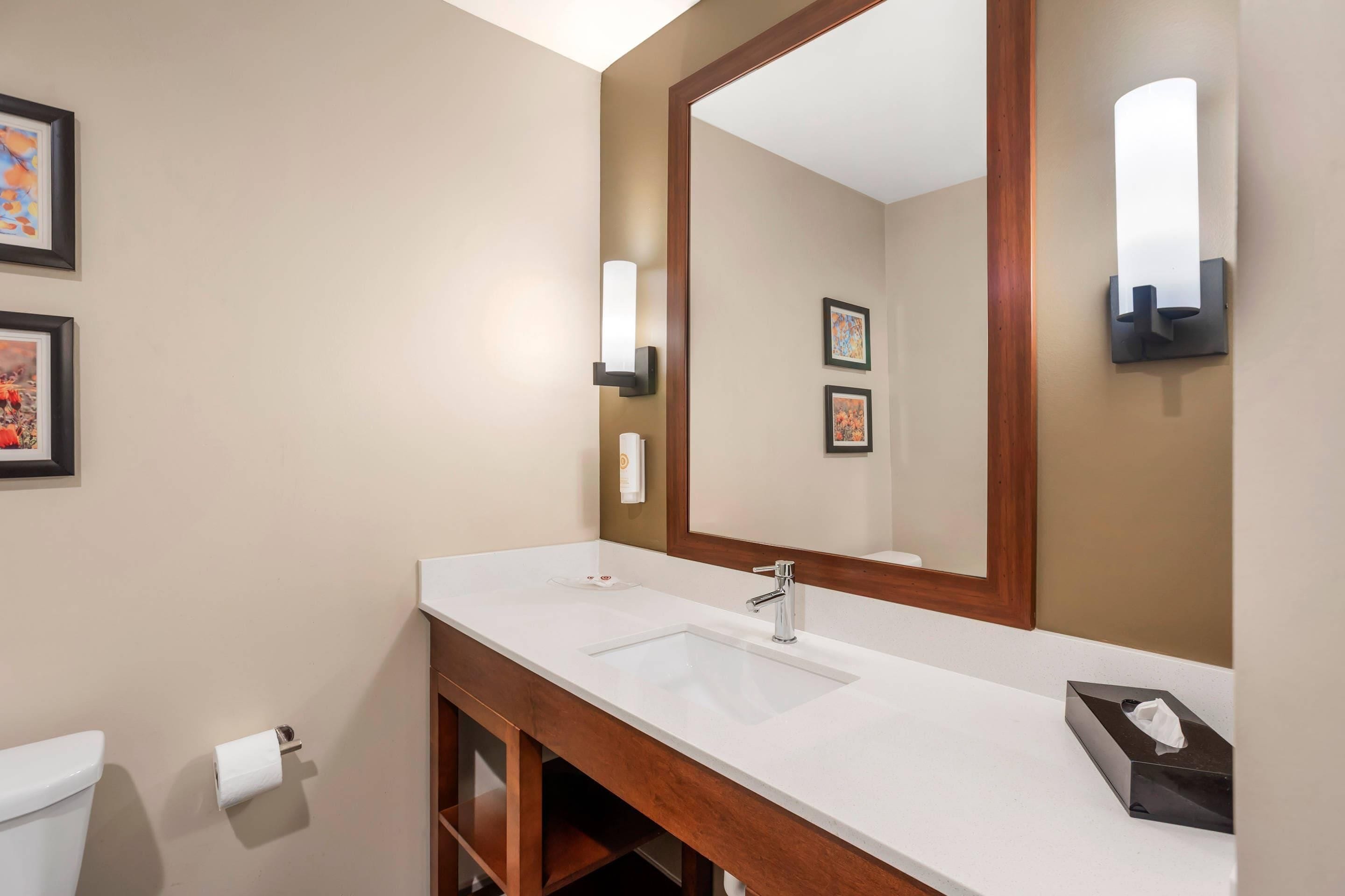 A bathroom with a white sink, a large mirror, and framed artwork on the wall.