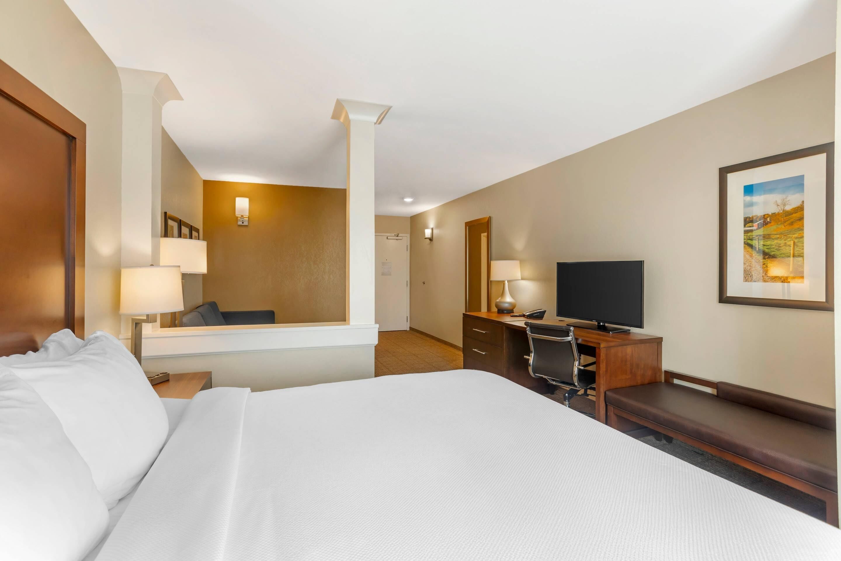 studio suite, 1 king bed, non smoking (efficiency) | individually furnished, desk, laptop workspace, blackout curtains