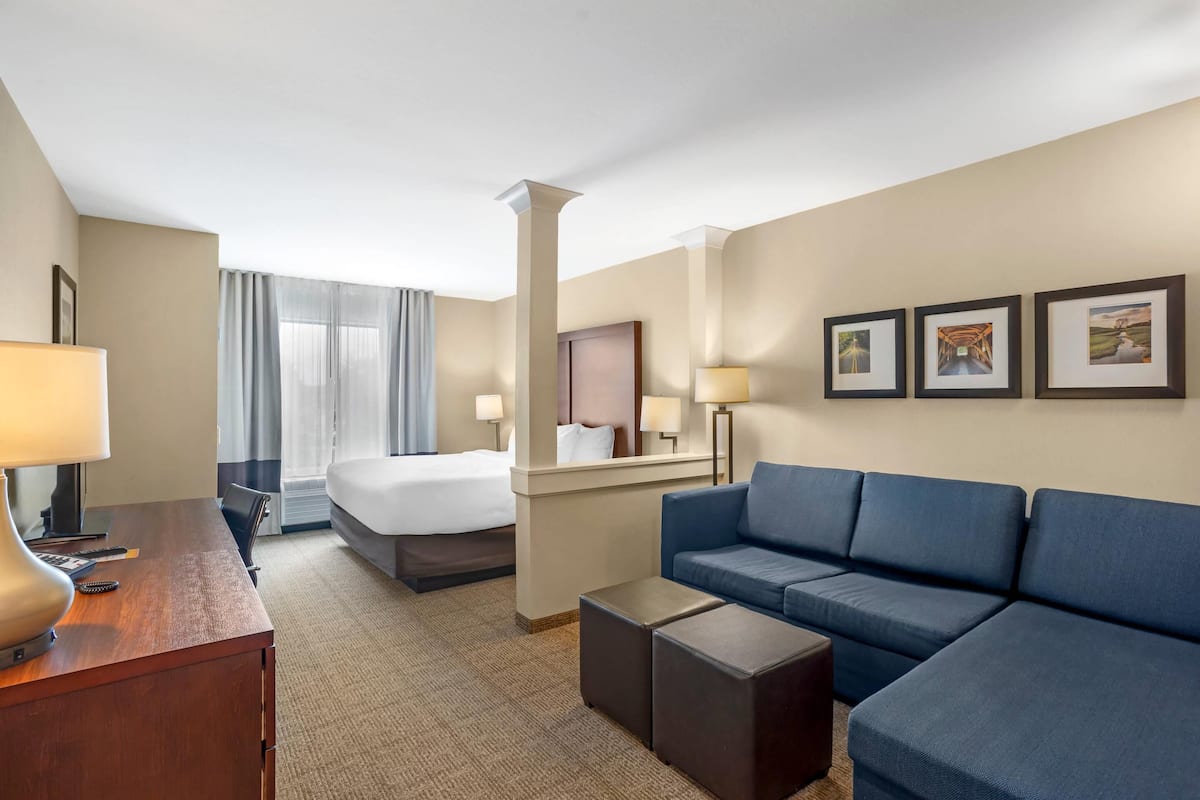 A hotel room with a bed, a blue sofa, a desk with a lamp, and framed pictures on the wall.