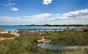 A beach with rows of sun loungers and umbrellas, a clear sky, and a calm sea. - Swimming pool with sea view, historic center 700m, parking, 8' from the beaches (Ostuni)