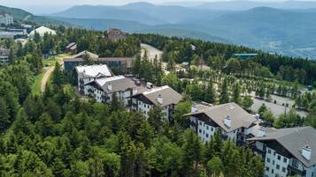 獨棟房屋, 多張床 (2 Br: Whistlepunk 17) | 鳥瞰角度