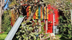 A colorful playground with a slide, surrounded by blooming trees and a red building in the background. - Sunny holiday home with a cozy sleeping loft, idyllically located in the garden. (Barth)