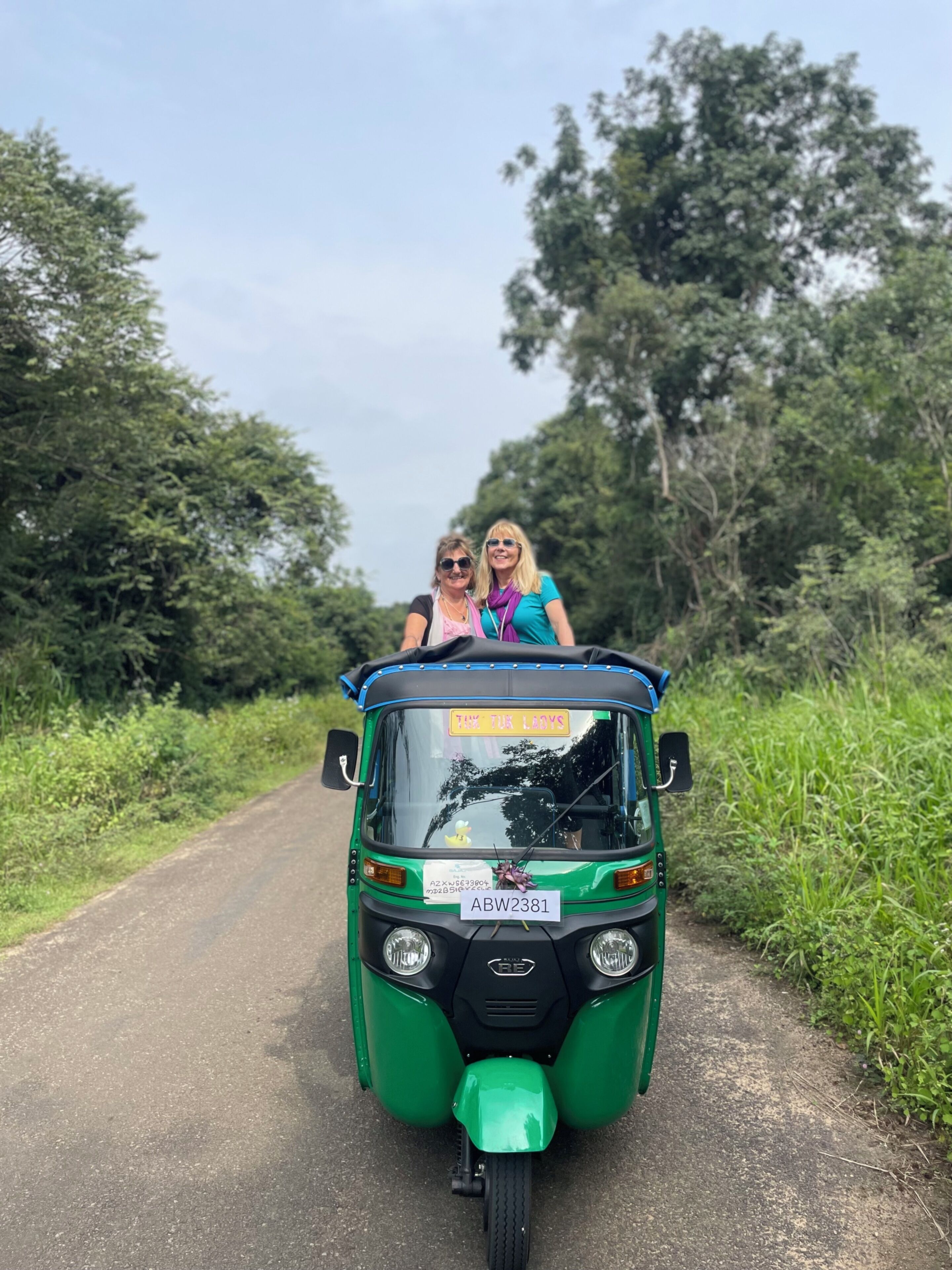 A green auto-rickshaw with two passengers, a road, and greenery in the background.