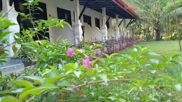 Taman