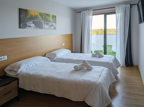 Superior Twin Room | Terrace/patio