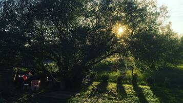 Enceinte de lâhĂ©bergement