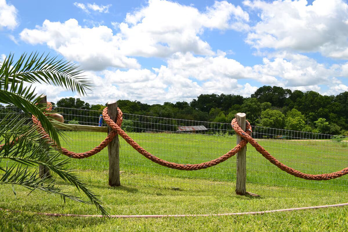 A fenced area with a rope barrier, a palm tree, and a grassy field with trees in the background.