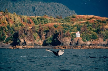 Image of Unique Clifftop Lighthouse with stunning views of Kachemak Bay