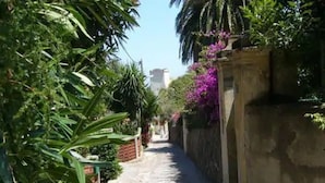 Un sendero pavimentado y estrecho bordeado de abundante vegetación y una pared con flores moradas.