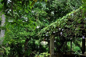 Tuin
