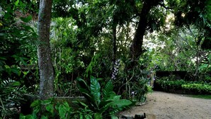 A garden with dense foliage, a dirt path, and a brick wall. - Green Corridor - Ahangama (Ahangama)