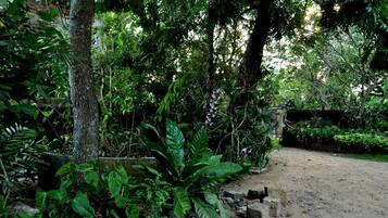 Jardín