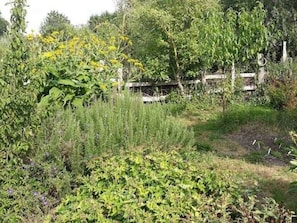 Boendeområde
