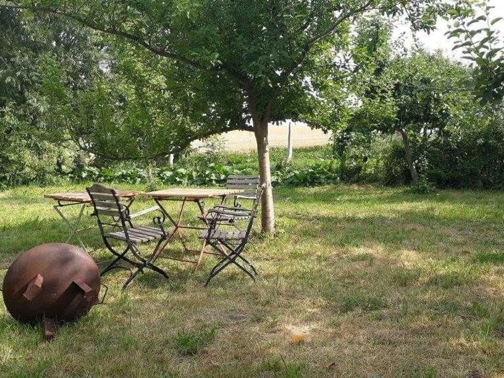 Un espace extérieur aménagé avec une table et des chaises, placé sous un arbre et entouré de pelouse et d’arbustes.