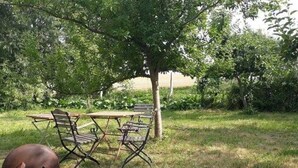 An outdoor seating area with a table and chairs under a tree, surrounded by grass and bushes.