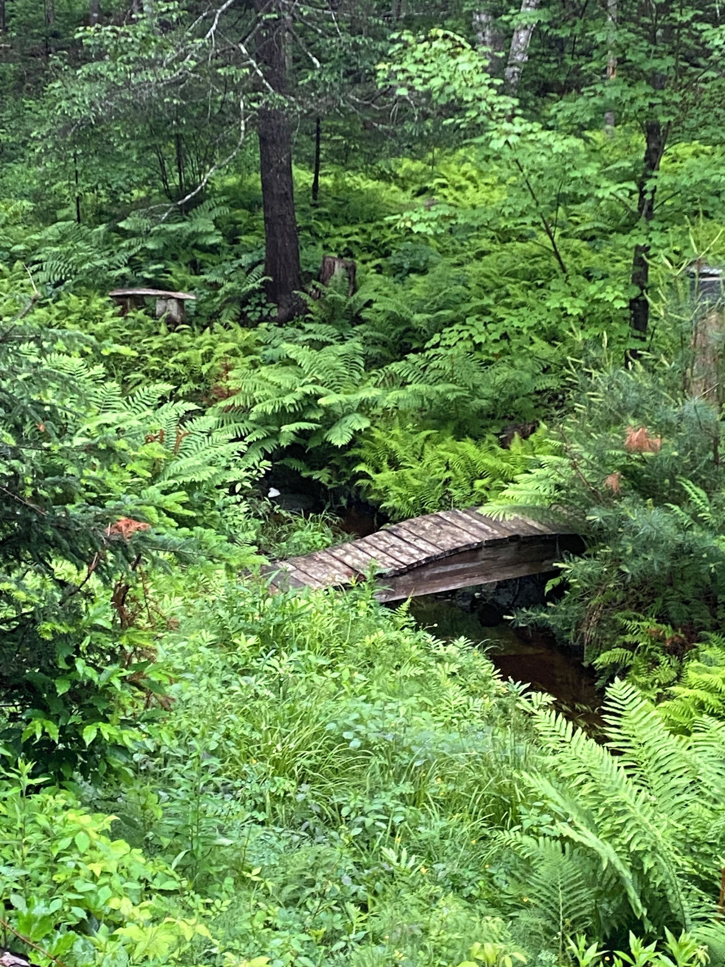 Small bridge across Brook