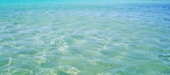 House / Villa - Diso