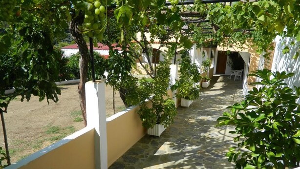 A stone-paved pathway leading to a white-walled building with a covered outdoor seating area. - Asteri Studio's (Skiathos)