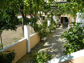 A stone-paved pathway leading to a white-walled building with a covered outdoor seating area. - Asteri Studio's (Skiathos)