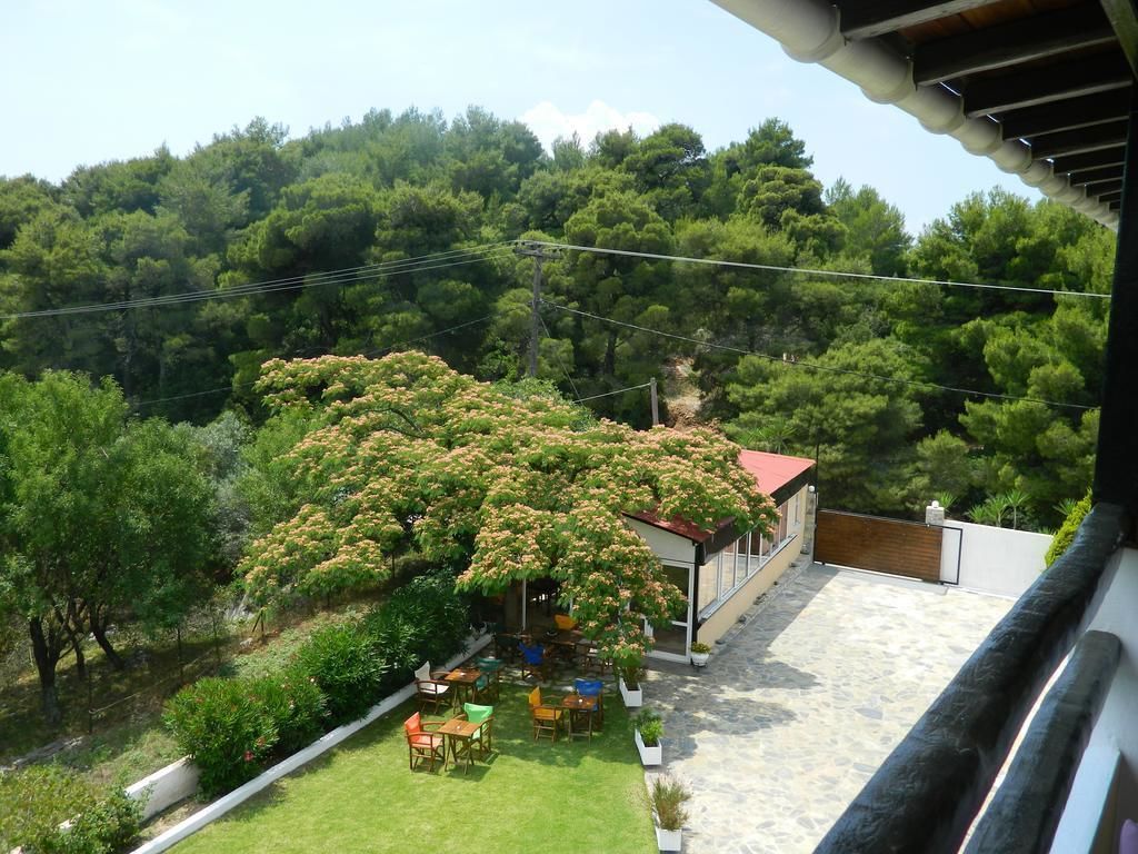 A house with a patio area, surrounded by lush greenery and trees.